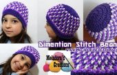 Dimensie Stitch Beanie