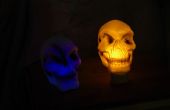 Goedkoop en gemakkelijk verlicht skull Halloween houwer