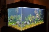 Bouwen van een aquarium dat ziet er goed uit op elke woonkamer