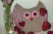 Hoe maak je een "liefde uil kussen" - een Valentine naaien Craft