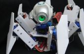 Mijn eerste robot / 我的第一个机器人