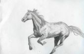 Hoe teken je een paard