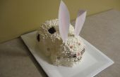 Hoe maak je een 3D konijntje taart