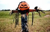 Pompoen patch scarecrow
