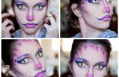 Cheshire cat geïnspireerd make-up
