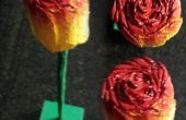 DIY houten Rose Gift