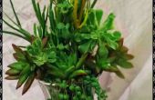 Levende boeket-groeien planten in vaas