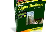 Maken van algen Biodiesel thuis
