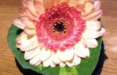 Gemakkelijk bloem Corsages (met behulp van magneten)