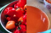 Zelfgemaakte Habanero Sriracha saus