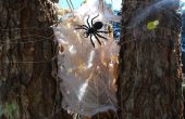 Halloween spinnenweb Wicked