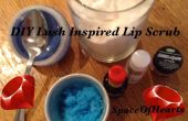 DIY weelderige geïnspireerd Lip Scub