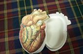 Anatomische Heart-shaped Box (voor uw unieke Valentijn.) 