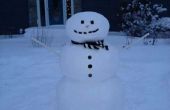 Maken van een sneeuwpop met één persoon