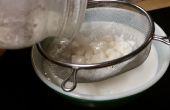 Hoe maak je melk Kefir