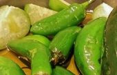 Slow Cooker groen Chili