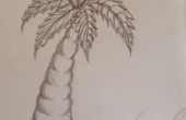 Hoe teken je een palmboom