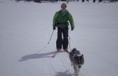 Hoe Ski Jour met uw hond