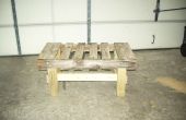 Simple Pallet tuin Bench