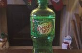 13 ongebruikelijke toepassingen voor Canada Dry Ginger Ale