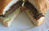 Gastronomische Swan vlees hamburgers