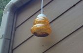 Home Made Wasp Trap