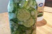 No-kok overnachting koelkast Pickles