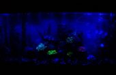 Daglicht/maanlicht tweeweg LED aquarium licht