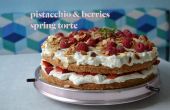 Pistacchio & bessen voorjaar torte