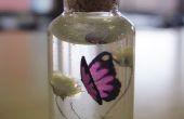 Paarse vlinder fles ketting