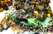 Pittige Tilapia Quinoa hamburgers Crusted met amandel