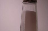 Hoe een zout Shaker evenwicht te