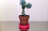 Mini 3D afgedrukt schotel voor onder uw Mini Planter/Pot