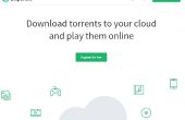 Veilige torrenting met Bitport.io