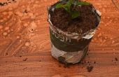 Bio afbreekbaar Plant Pot