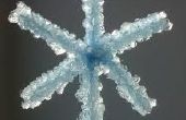 Gekristalliseerd sneeuwvlokken (5 inch lang)