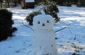 Jack-O-Snow - Halloween sneeuwpop
