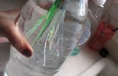 Maken van een Cartesiaans duiken inktvis in een fles