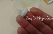 Eenvoudig DIY Night Cream
