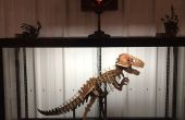 Draad gebonden plaatwerk dinosaurus skeletten