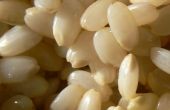 HOWTO Maak GBR (ontkiemd of gekiemde bruine rijst)