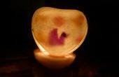 Valentine's dag bloem Petal ingesloten hart armaturen: een perfecte cadeau