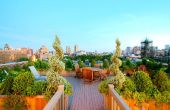 NYC landschap Design How-To: Op het dak terras tuin