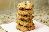Oude Fashioned Oatmeal Chocolate Chip Cookies (glutenvrij)