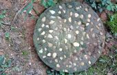 Stepping Stone Toad huis