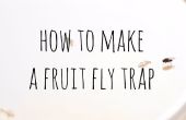 Gemakkelijk Fruit Fly Trap