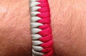 Twee kleur Fishtail Paracord (550) armband