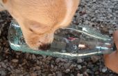 Hond fles Water / water fontein fles vuller helper
