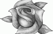 Tekening van een realistische Rose