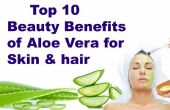 Top 10 Beauty voordelen van Aloë Vera voor de huid & Hair